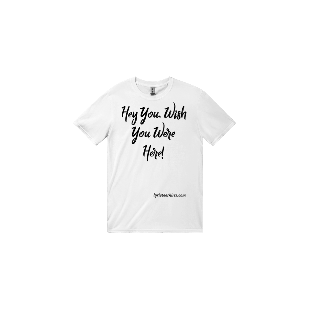 PINK FLOYD Hey You and Wish You Were Here