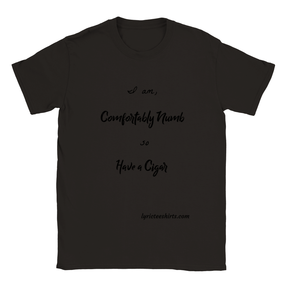 PINK FLOYD Comfortably Numb and Have a Cigar