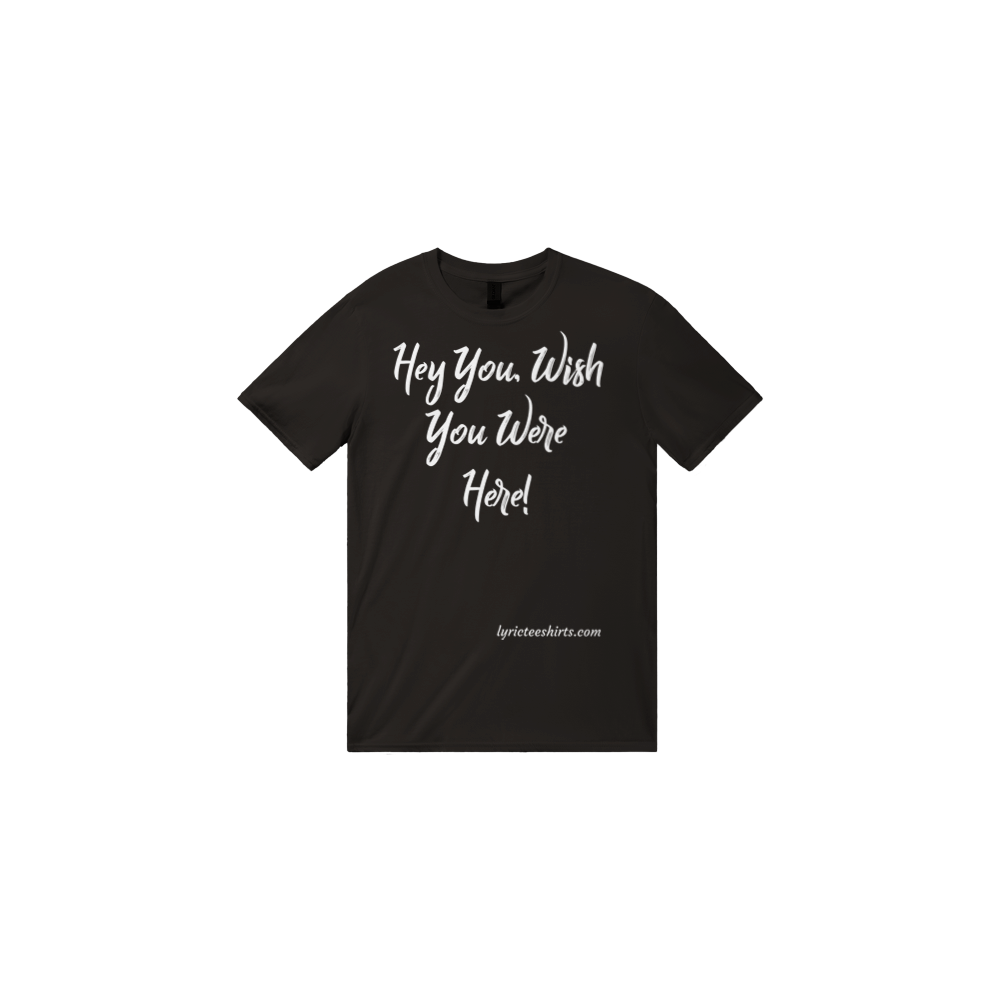 PINK FLOYD Hey You and Wish You Were Here