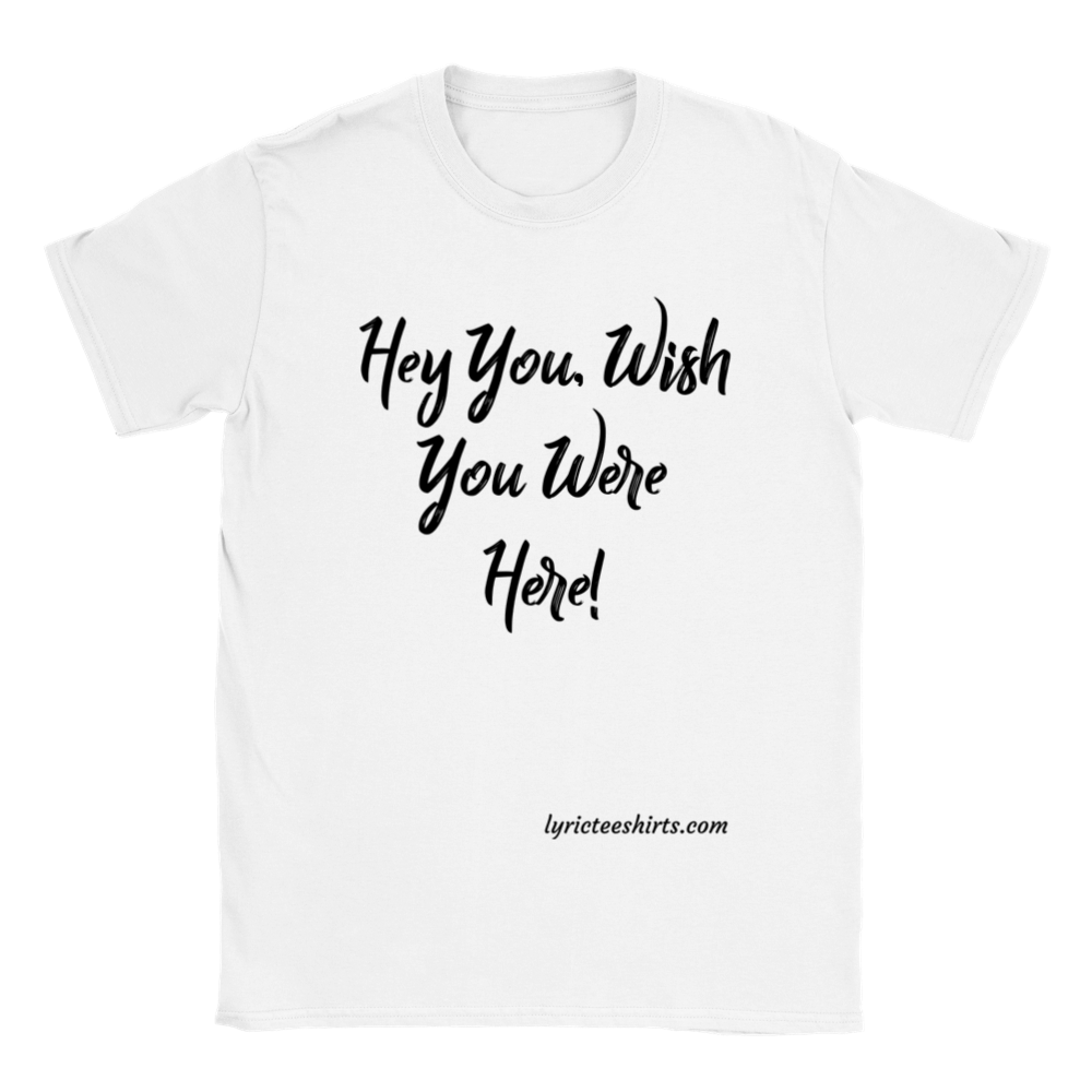 PINK FLOYD Hey You and Wish You Were Here