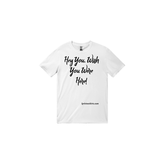 PINK FLOYD Hey You and Wish You Were Here